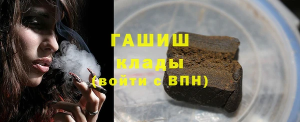 гидра Надым