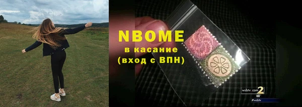 гидра Надым