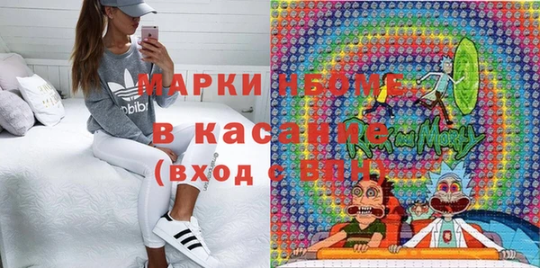 гидра Надым