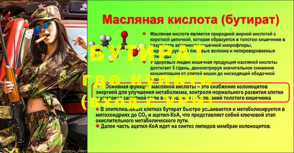 гидра Надым