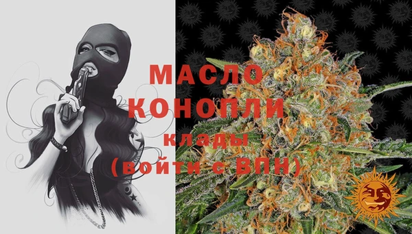 гидра Надым