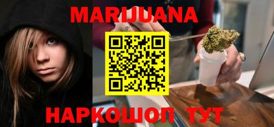 сатива Бийск