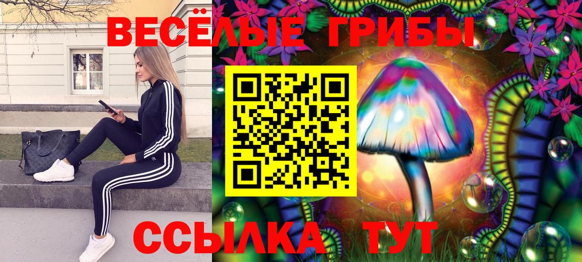 Псилоцибиновые грибы мухоморы Гагарин