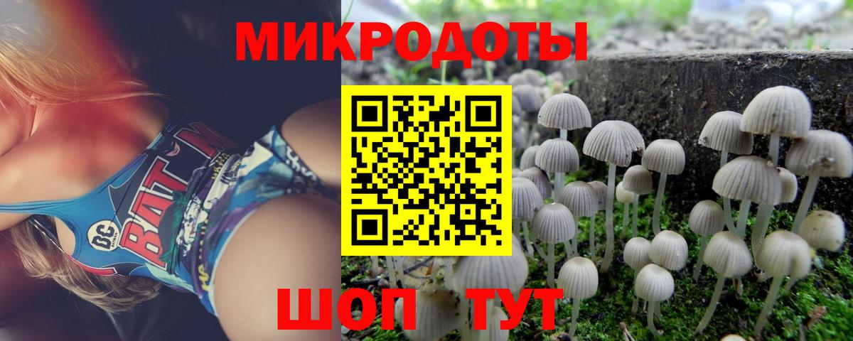 Гагарин  Псилоцибиновые грибы Psilocybine cubensis  Вход с VPN 