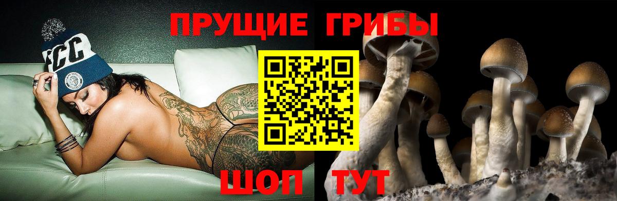 Галлюциногенные грибы MAGIC MUSHROOMS  Гагарин 